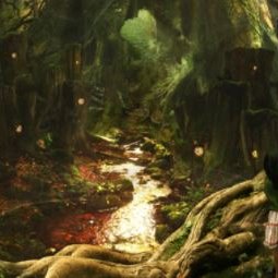 Enchanted Forest